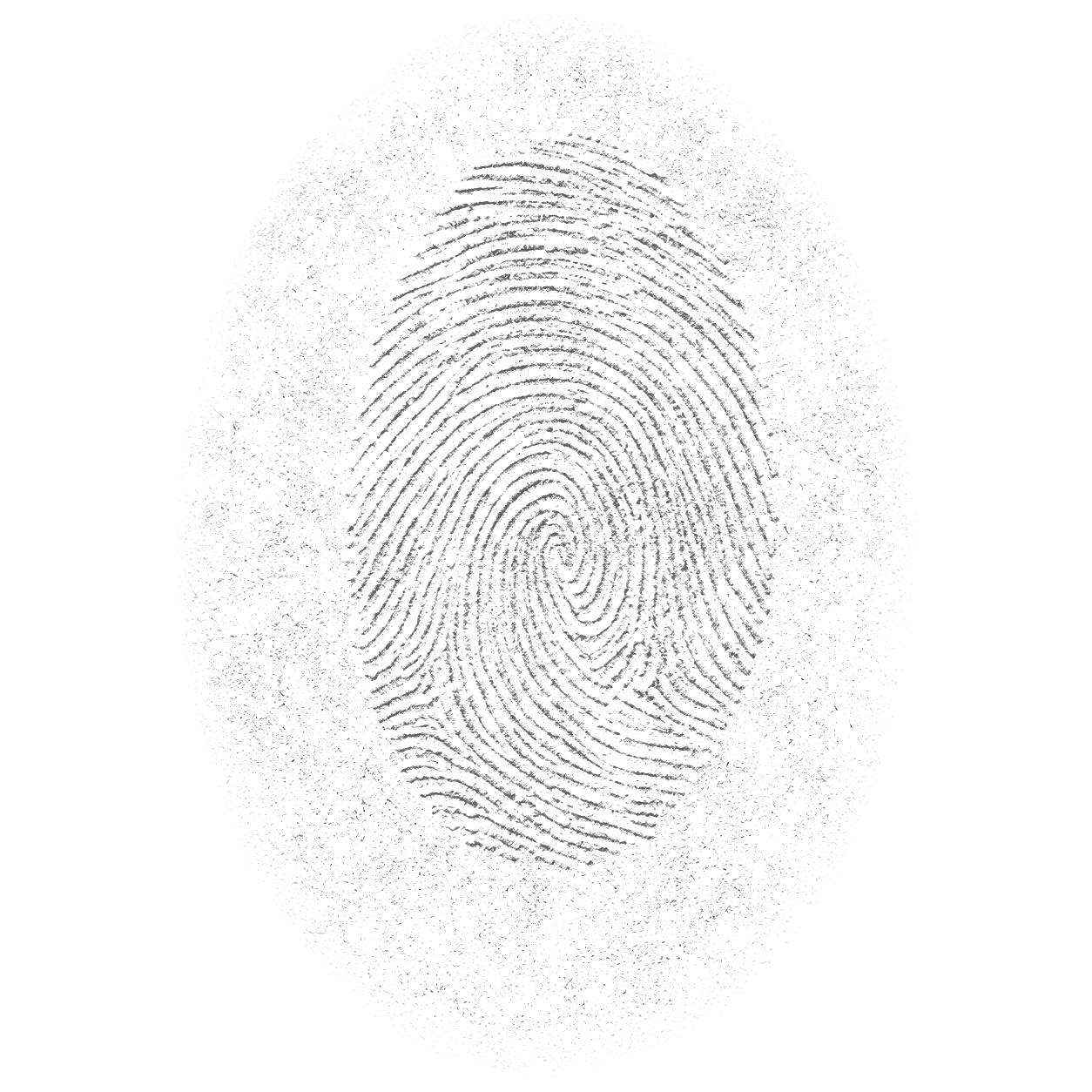Signatures Through Technologies, expanded chiasm animation (22 states, 8.8 seconds, looping)